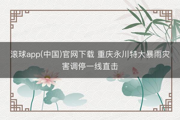 滚球app(中国)官网下载 重庆永川特大暴雨灾害调停一线直击
