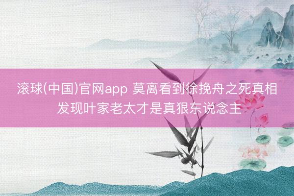 滚球(中国)官网app 莫离看到徐挽舟之死真相 发现叶家老太才是真狠东说念主