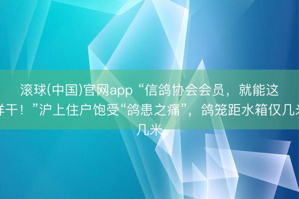 滚球(中国)官网app “信鸽协会会员，就能这样干！”沪上住户饱受“鸽患之痛”，鸽笼距水箱仅几米