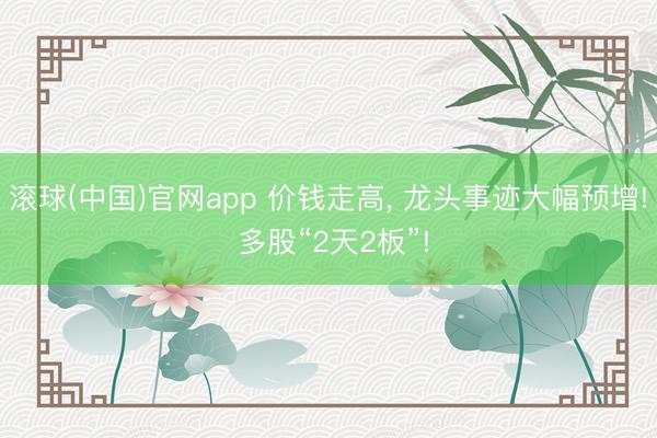 滚球(中国)官网app 价钱走高， 龙头事迹大幅预增! 多股“2天2板”!