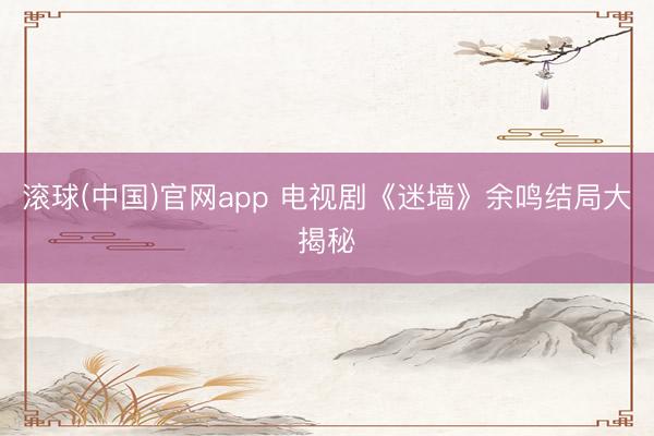 滚球(中国)官网app 电视剧《迷墙》余鸣结局大揭秘