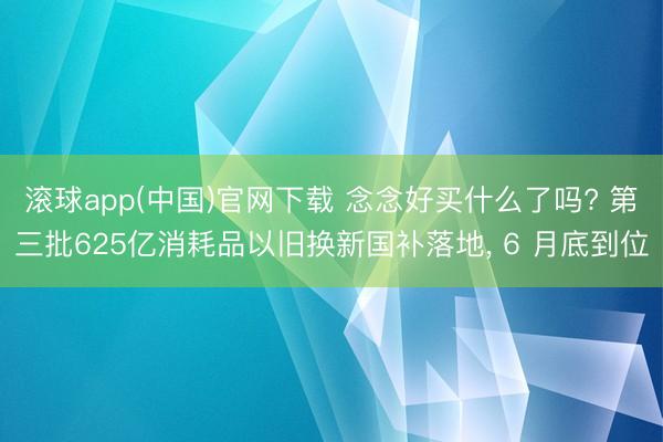 滚球app(中国)官网下载 念念好买什么了吗? 第三批625亿消耗品以旧换新国补落地, 6 月底到位